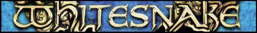 wsbanner.jpg