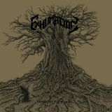 02 exhumation