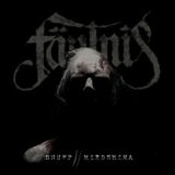 02 faeulnis