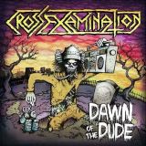 08 crossexamination
