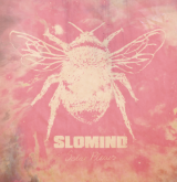 10 slomind