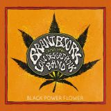 11 brantbjork
