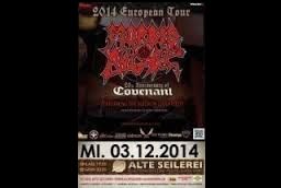 12 morbidangel