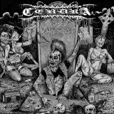 02 cendra