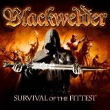 04 blackwelder