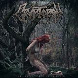 10 cryptopsy