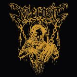 04 necrosic