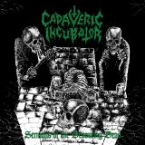 10 cadavericincubator