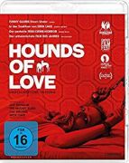 11 houndsoflove