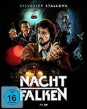 04 nachtfalken