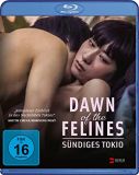 05 dawnofthe felines
