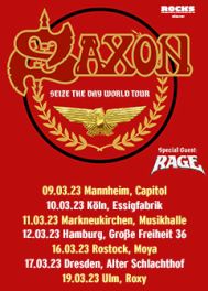 03 saxon mannheim 01