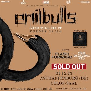 12 emilbulls flyer