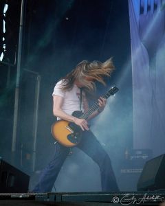 06 carcass soelvesborg 01