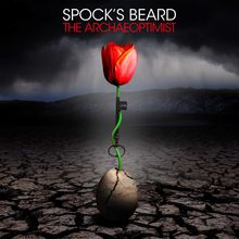 11 spocksbeard