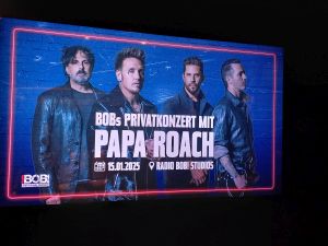 01 paparoach flyer